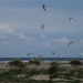 Grenen (DK)