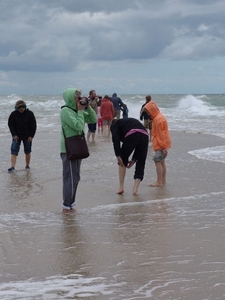 Grenen (DK)