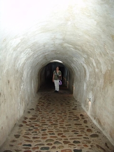 Helsingr (DK)