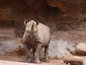 Hannover Zoo (D)