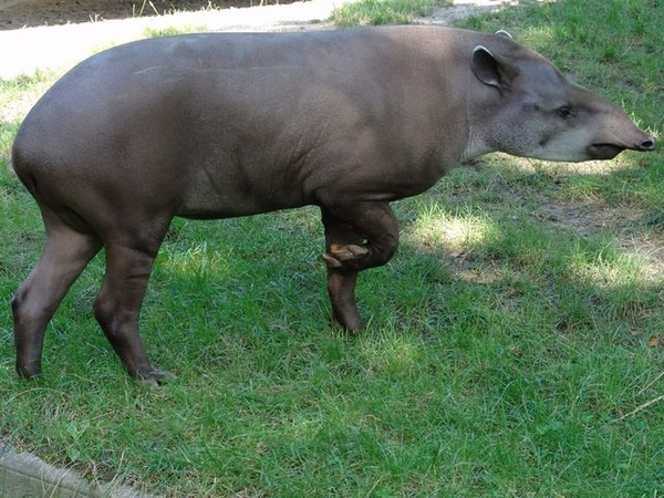 Hannover Zoo (D)