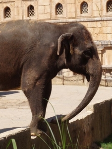 Hannover Zoo (D)