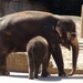 Hannover Zoo (D)