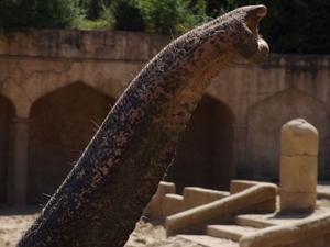 Hannover Zoo (D)