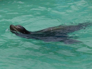Hannover Zoo (D)