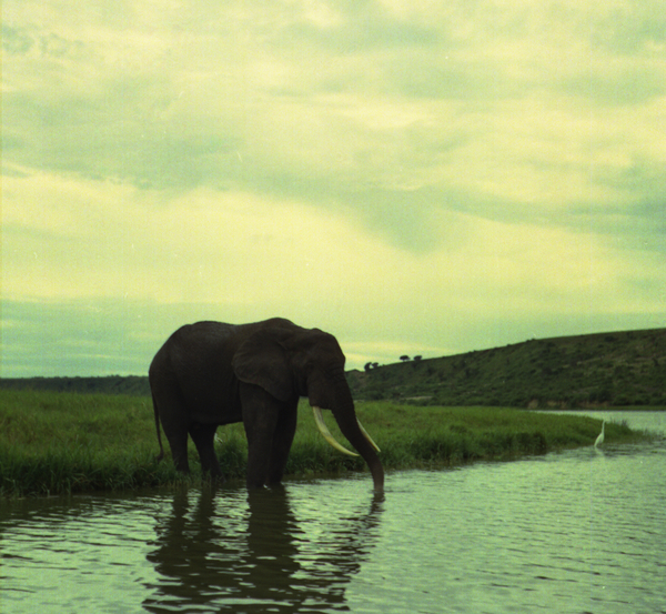 DORST