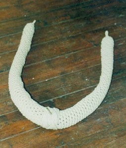 leguaan 01