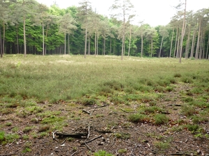 09.05.17 ST.ANDRIES. MOET TERUG HEIDE WORDEN