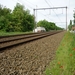 09.05.21 HANSBEKE .LIJN NAAR OOSTENDE MET KOLLEBLOMMEN