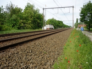 09.05.21 HANSBEKE .LIJN NAAR OOSTENDE MET KOLLEBLOMMEN