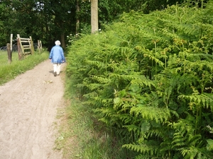 09.06.06 LEMBEKE.DE VARENS STAAN MOOI