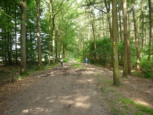 09.06.06 LEMBEKE.IN DE BOSSEN