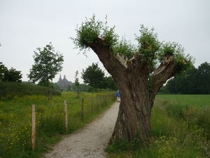 09.06.07  AARDENBURG.EEN MONUMENT