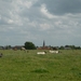 09.06.19.URSELKERK TUSSEN DE KOEIEN