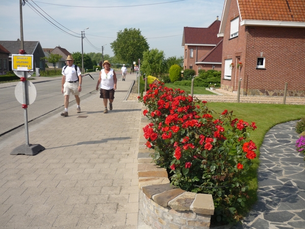 09.06.26 WATERLAND OUDEMAN.RODE ROZEN