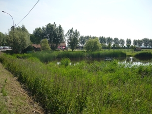 09.06.26 WATERLAND OUDEMAN.ACHTERKANT ROSTE MUIS