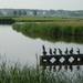 09.06.26 WATERLAND OUDEMAN.ALS DE VOS......