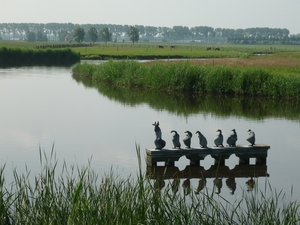 09.06.26 WATERLAND OUDEMAN.ALS DE VOS......