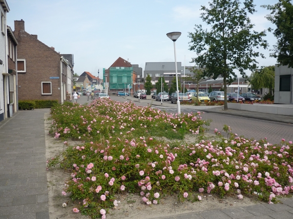 09.06.27. OOSTBURG.ROZENPERK