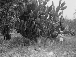 1956 - RUGOMBO, in de tuin