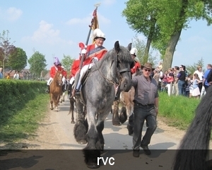 een rustig paard voor de 'ouderen'