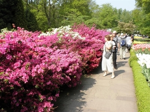 Keukenhof012 (Medium)