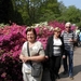 Keukenhof013 (Medium)