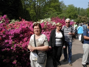 Keukenhof013 (Medium)