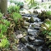 Keukenhof014 (Medium)