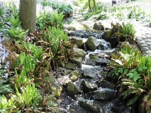 Keukenhof014 (Medium)