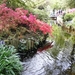 Keukenhof015 (Medium)