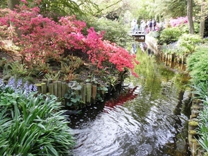 Keukenhof015 (Medium)