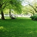 Keukenhof022 (Medium)