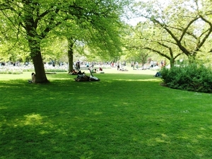 Keukenhof022 (Medium)