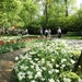Keukenhof026 (Medium)