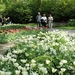 Keukenhof027 (Medium)