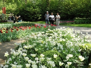 Keukenhof027 (Medium)