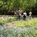 Keukenhof028 (Medium)