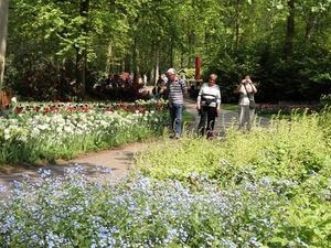 Keukenhof028 (Medium)