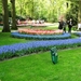 Keukenhof033 (Medium)