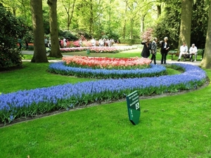 Keukenhof033 (Medium)