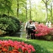 Keukenhof034 (Medium)