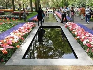 Keukenhof043 (Medium)