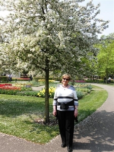 Keukenhof045 (Medium)