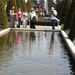 Keukenhof049 (Medium)