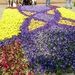 Keukenhof052 (Medium)
