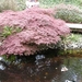 Keukenhof058 (Medium)