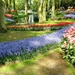Keukenhof060 (Medium)