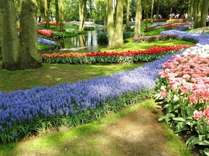 Keukenhof060 (Medium)