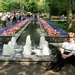Keukenhof071 (Medium)